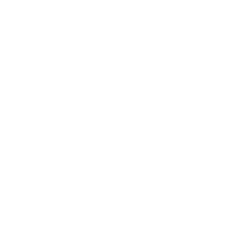 100% гарантия