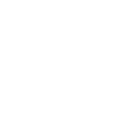 10+ лет опыта