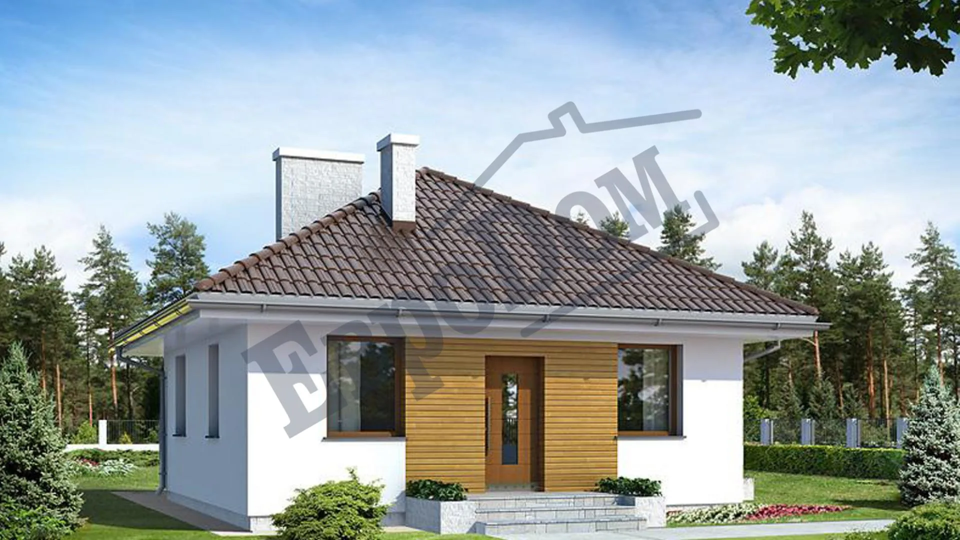 Проект D229 «Минима 51» - изображение 2