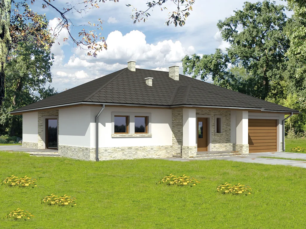 Проект дома D165